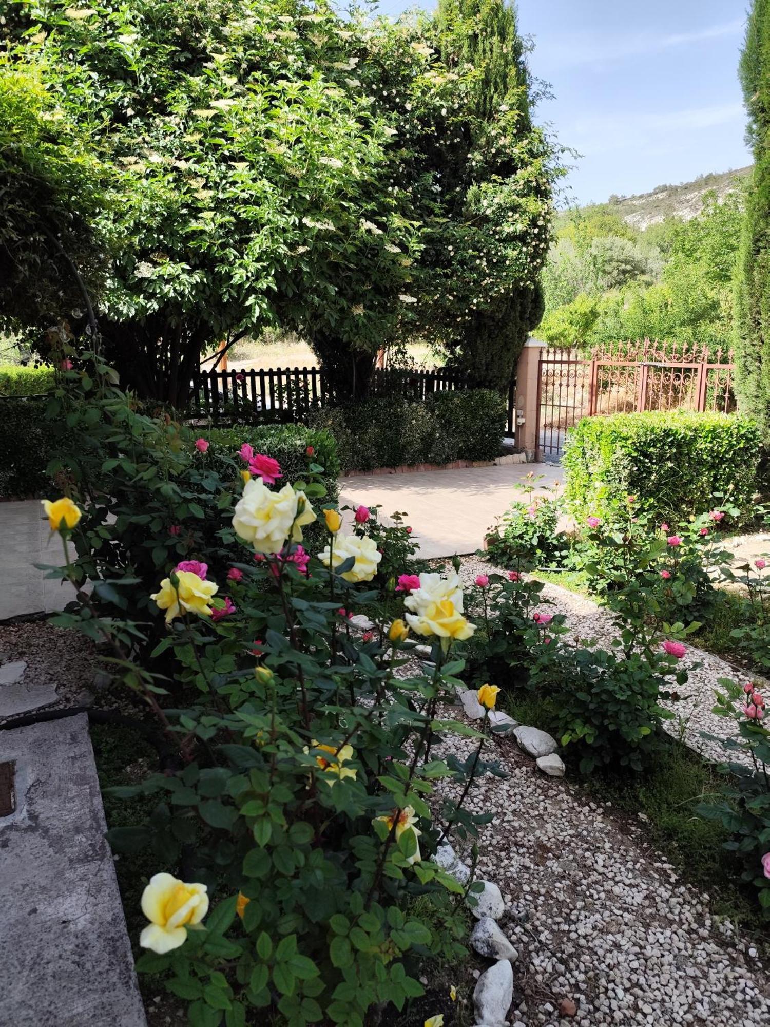 Roses Villa Τριμίκλινη Εξωτερικό φωτογραφία