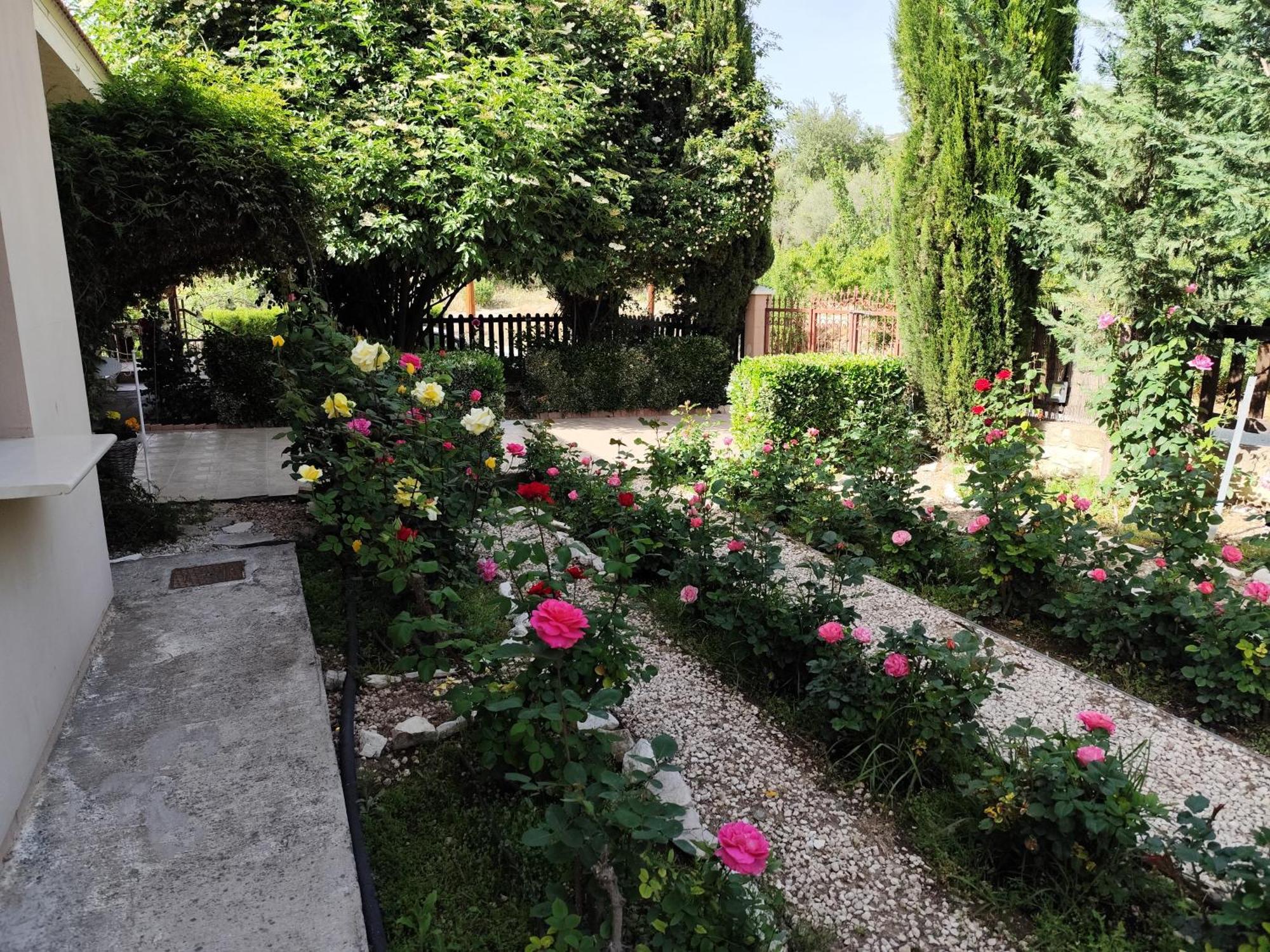Roses Villa Τριμίκλινη Εξωτερικό φωτογραφία