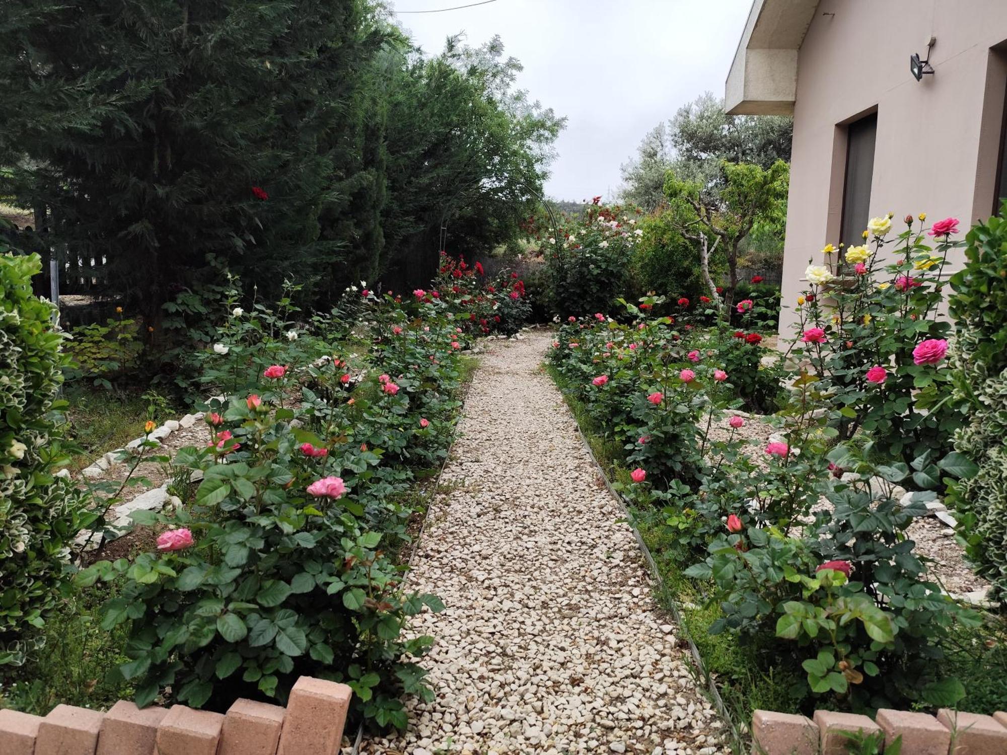 Roses Villa Τριμίκλινη Εξωτερικό φωτογραφία