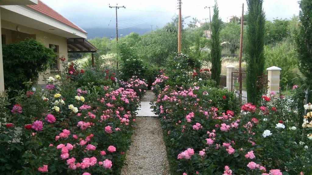 Roses Villa Τριμίκλινη Εξωτερικό φωτογραφία